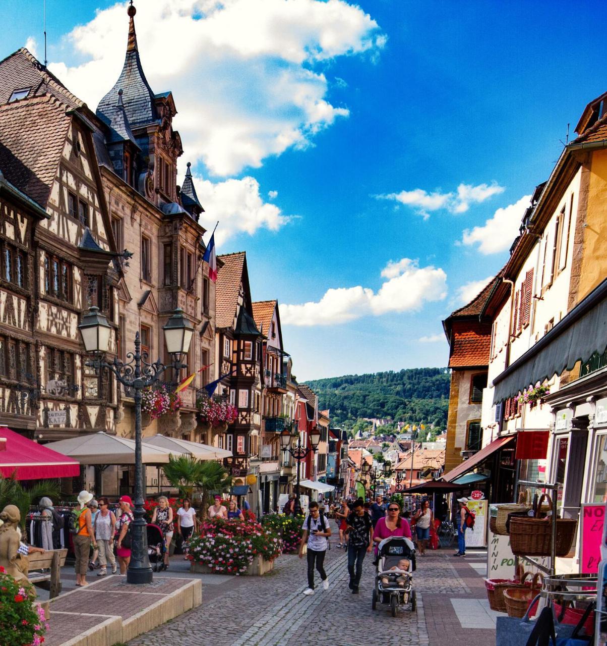 Hotel Ecluse 34 Steinbourg ภายนอก รูปภาพ